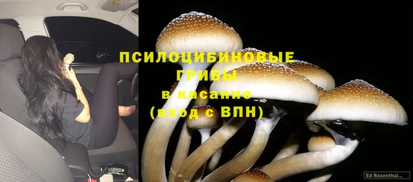 Альфа ПВП Кинешма