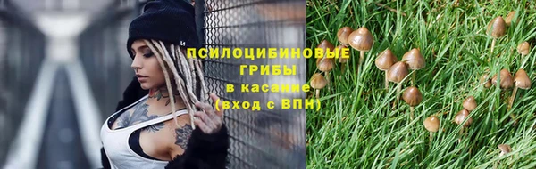 PSILOCYBIN Алексин
