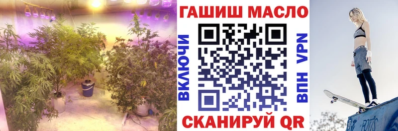 OMG ONION  Малаховка  ТГК вейп с тгк 