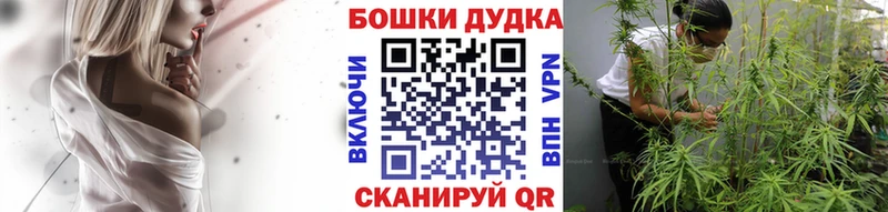 shop наркотические препараты Малаховка Шишки марихуана Bruce Banner как найти закладки